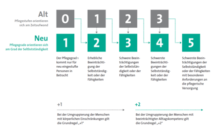 Grafik Pflegestufe